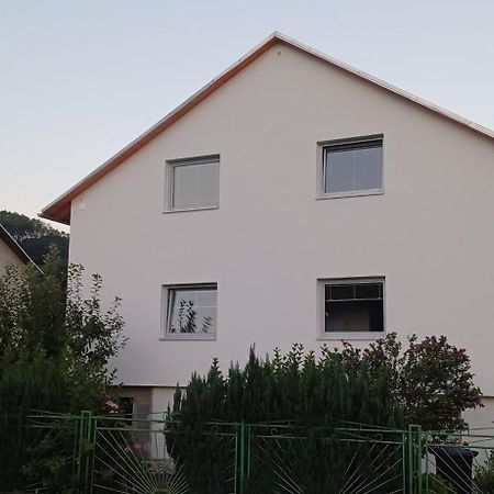 Apartmanovy Dum Terka Зазрива Экстерьер фото
